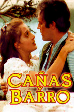 Imagen de Cañas y barro (T1) - 1