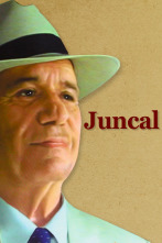 Imagen de Juncal (T1) - 1