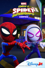 Imagen de Conoce a Spidey y... (T3): Vamos, dinotelarañas - 1