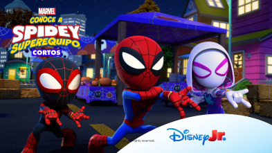 Imagen de Conoce a Spidey y... (T3): Vamos, dinotelarañas - 2