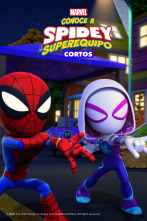 Imagen de Conoce a Spidey y... (T3): Vamos, dinotelarañas - 3