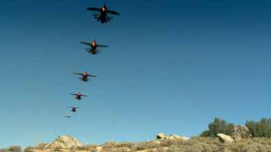 Imagen de La vida en el aire: Ep.3 - 2