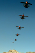 Imagen de La vida en el aire: Ep.3 - 1