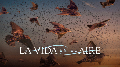 Imagen de La vida en el aire  - 2