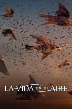 Imagen de La vida en el aire  - 1