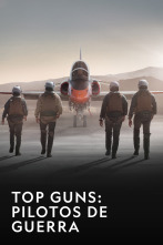 Imagen de Top Guns: Pilotos de guerra  - 1