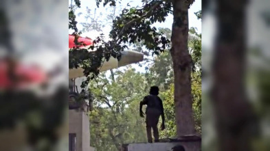 Imagen de ¿Qué falló en el accidente de Air India? - 15