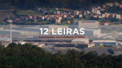 Imagen de 12 leiras - 4