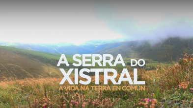 Imagen de A serra do Xistral, a vida na terra en común - 4