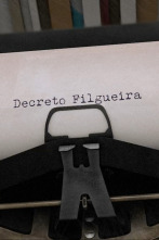 Imagen de Decreto Filgueira - 3