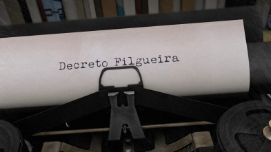 Imagen de Decreto Filgueira - 4