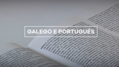 Imagen de Galego e portugués, unha cuestión ortográfica? - 4