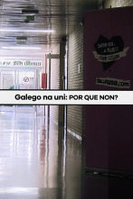 Imagen de Galego na Universidade: Por que non? - 3