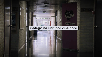 Imagen de Galego na Universidade: Por que non? - 4