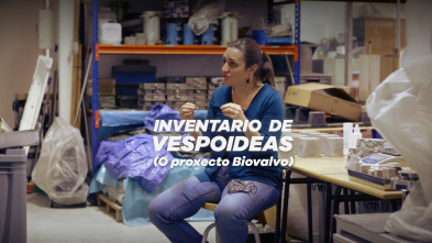 Imagen de Inventario de vespoideas: A vespoidea de Carolina Martínez: O proxecto Biovalvo - 4