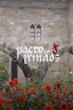Imagen de Pacto de Irmaos - 3