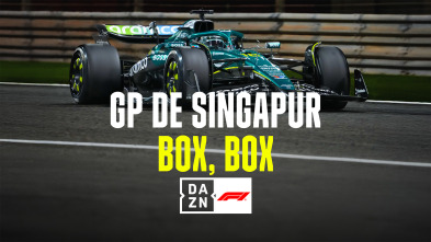 Imagen de Mundial F1 - GP... (2025): Box, Box - 2