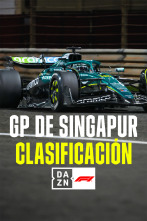 Imagen de Mundial F1 - GP... (2025): Clasificación - 1