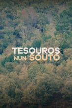 Imagen de Tesouros nun souto dos Ancares - 3