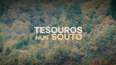 Imagen de Tesouros nun souto dos Ancares - 4
