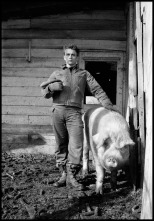 Imagen de James Dean: un icono eterno - 5