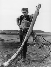 Imagen de James Dean: un icono eterno - 12