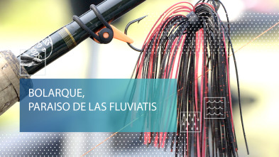 Imagen de Bolarque, paraíso de las fluviatis - 2