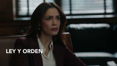 Imagen de Ley y Orden (T3) - 2