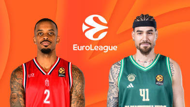 Imagen de Jornada 15: Milán - Panathinaikos - 2