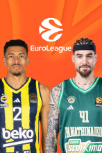 Imagen de Jornada 16: Fenerbahce - Panathinaikos - 1