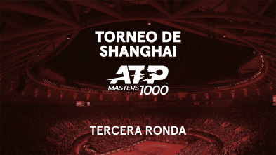 Imagen de 3ª Ronda: Davidovich - Medvedev - 2