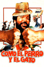 Imagen de Como el perro y el gato - 1