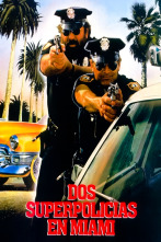 Imagen de Dos superpolicías en Miami - 1