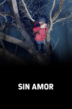 Imagen de Sin amor - 1