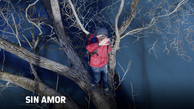 Imagen de Sin amor - 2