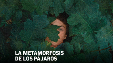 Imagen de La metamorfosis de los pájaros - 2