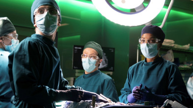 Imagen de The Good Doctor (T3): Ep.3 The Good Doctor (3): Ep 303 - 2