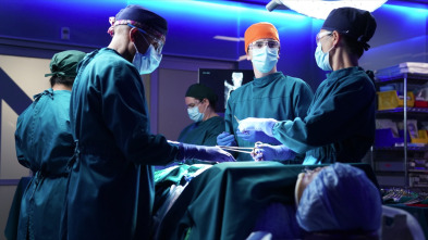 Imagen de The Good Doctor (T3): Ep.5 Primer caso, segundo caso - 4