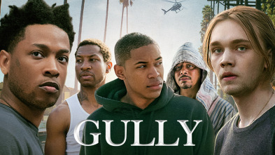 Imagen de Gully - 2