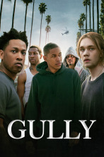Imagen de Gully - 1