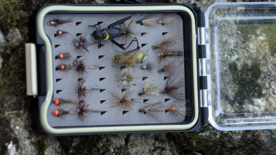 Imagen de Pesca en peligro de extinción: Varal - 3