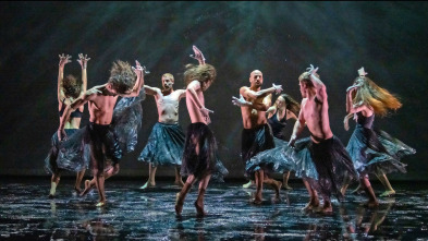 Imagen de Compañía Blanca Li: Dido y Eneas - Le Temps d'aimer la danse - 2