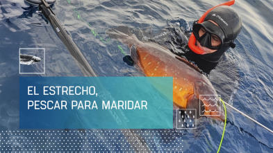 Imagen de El Estrecho, pescar para maridar - 2