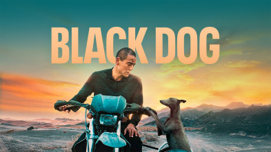 Imagen de Black Dog - 2