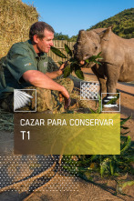 Imagen de Cazar para conservar  - 1