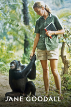 Imagen de Jane Goodall  - 1