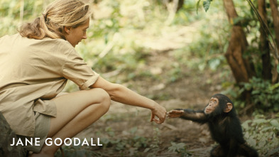 Imagen de Jane Goodall  - 2
