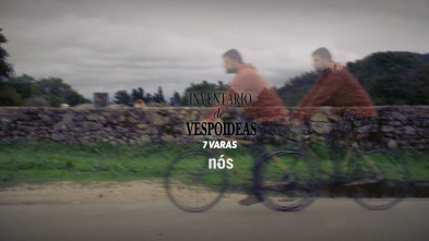 Imagen de Inventario de... (T1): Inventario de vespoideas: A vespoidea de Adrián García: 7 varas - 2