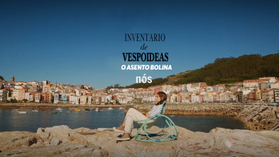 Imagen de Inventario de... (T1): Inventario de vespoideas: A vespoidea de Amalia Puga: O asento 'Bolina' - 2