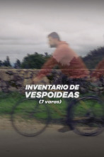 Imagen de Inventario de... (T1): Inventario de vespoideas: A vespoidea de Adrián García: 7 varas - 3